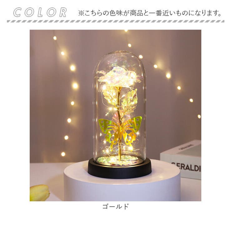 ガラスドーム 飾り おしゃれ LED付き | BACKYARD FAMILY | 詳細画像10 