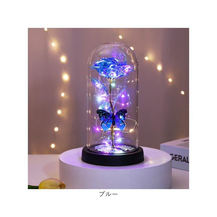 ガラスドーム