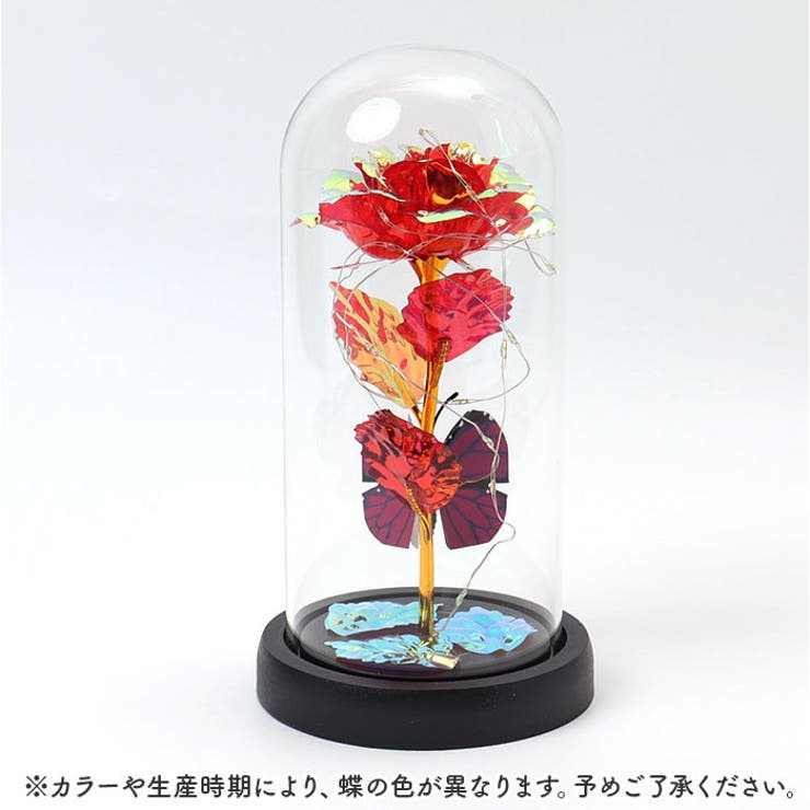 ガラスドーム