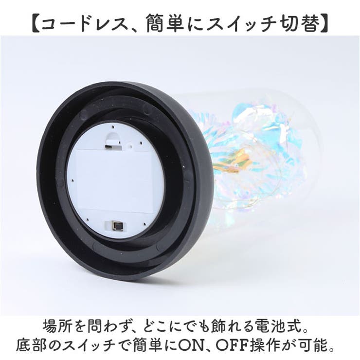 ガラスドーム 飾り おしゃれ LED付き | BACKYARD FAMILY | 詳細画像5 