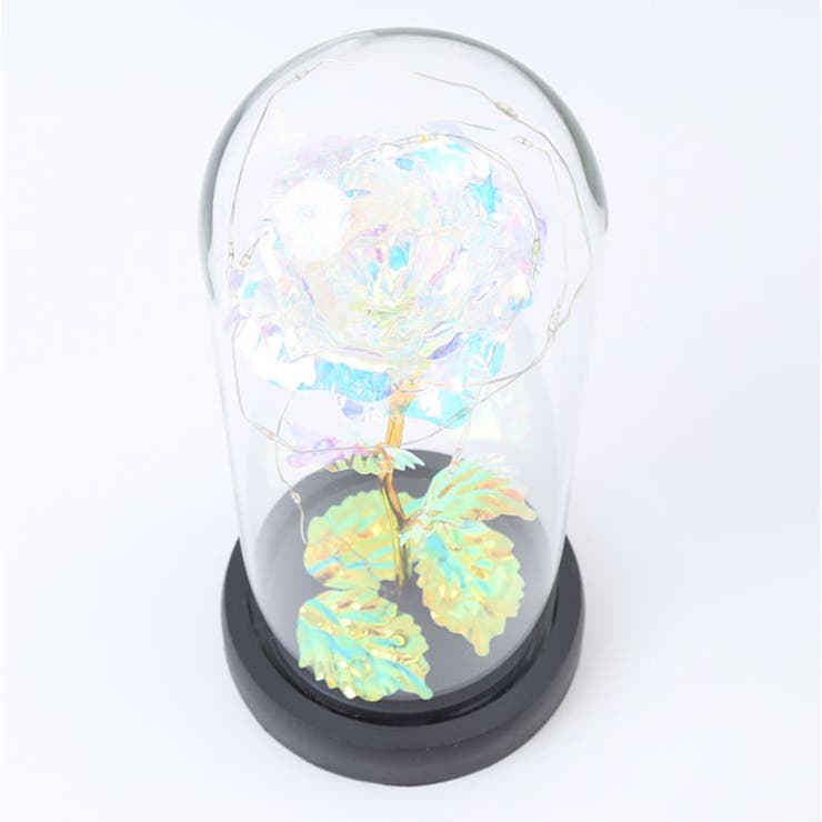 ガラスドーム 飾り おしゃれ LED付き | BACKYARD FAMILY | 詳細画像7 