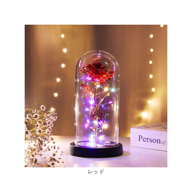 ガラスドーム 飾り おしゃれ LED付き[品番：BCYW0030776]｜BACKYARD