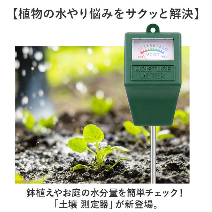 土壌