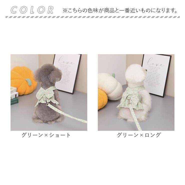 ハーネス