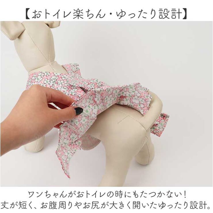 ハーネス