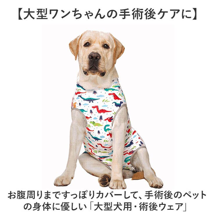 大型犬 ペット 術後服 傷舐め防止 | BACKYARD FAMILY | 詳細画像2 