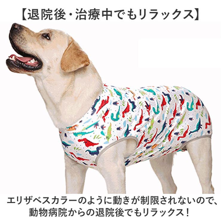 大型犬 ペット 術後服 傷舐め防止 | BACKYARD FAMILY | 詳細画像8 