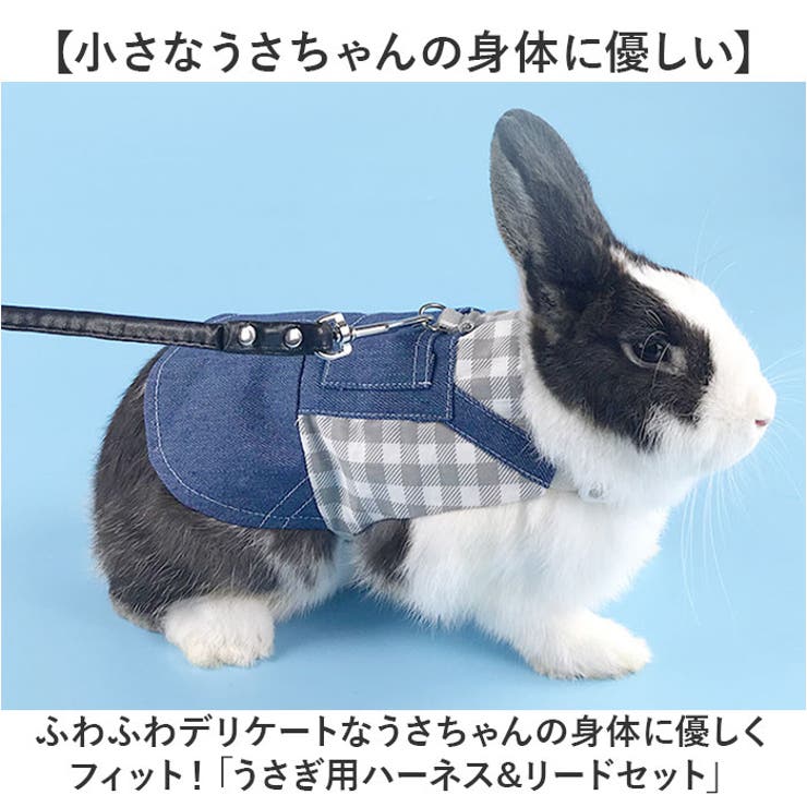 ペット 小動物 ウサギ ハーネス リード[品番：BCYW0031764