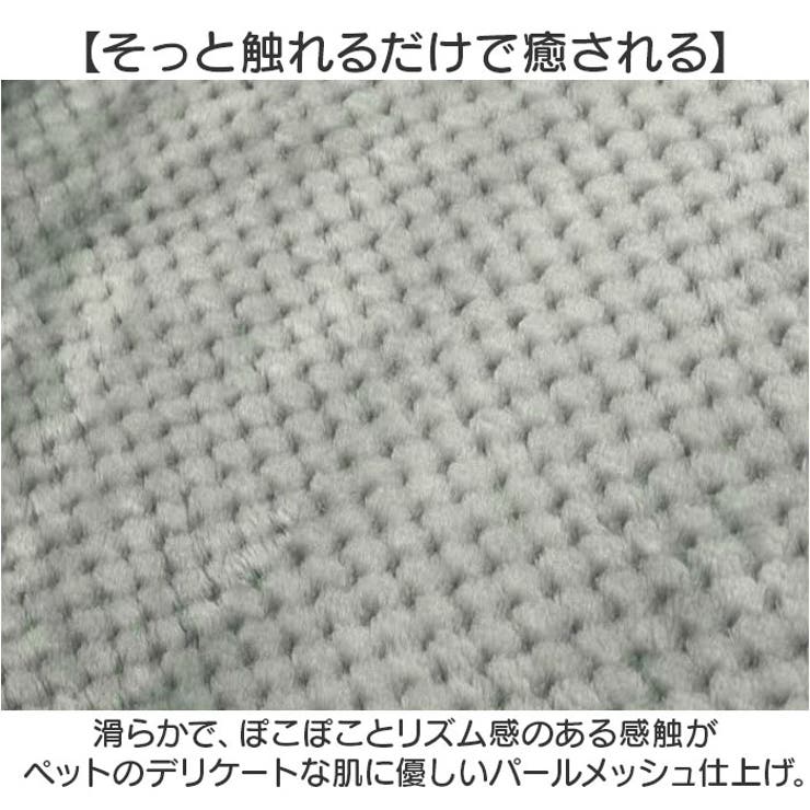 ペットブランケット | BACKYARD FAMILY | 詳細画像5 