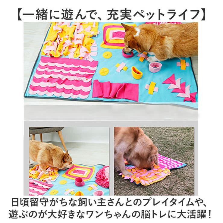 犬