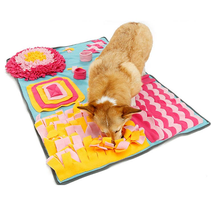 犬