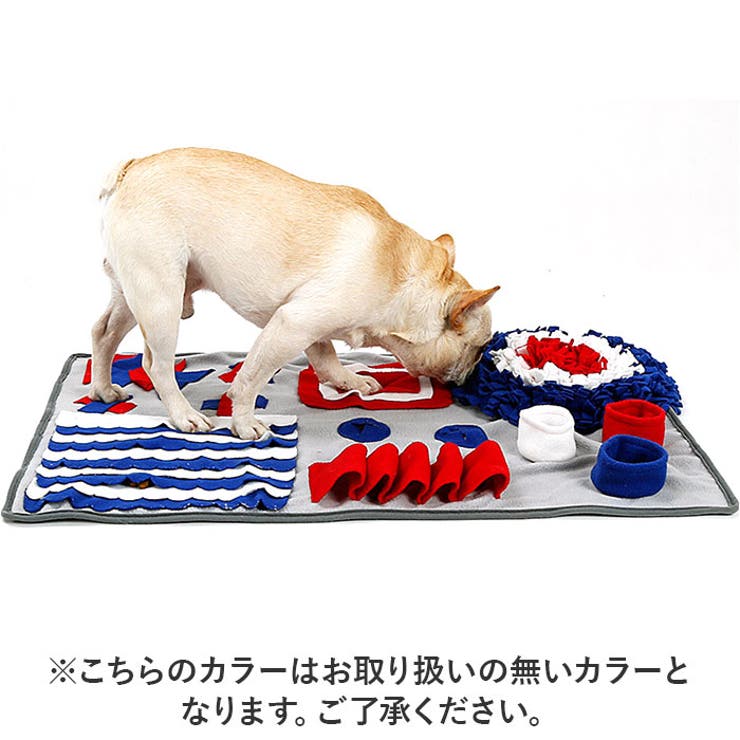 犬