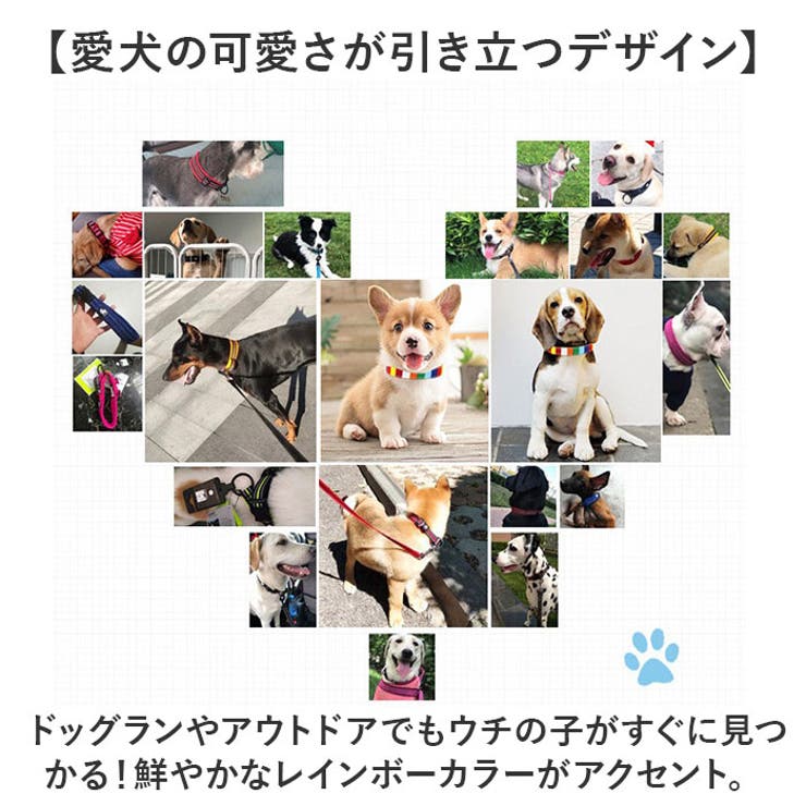 犬 首輪 | BACKYARD FAMILY | 詳細画像9 