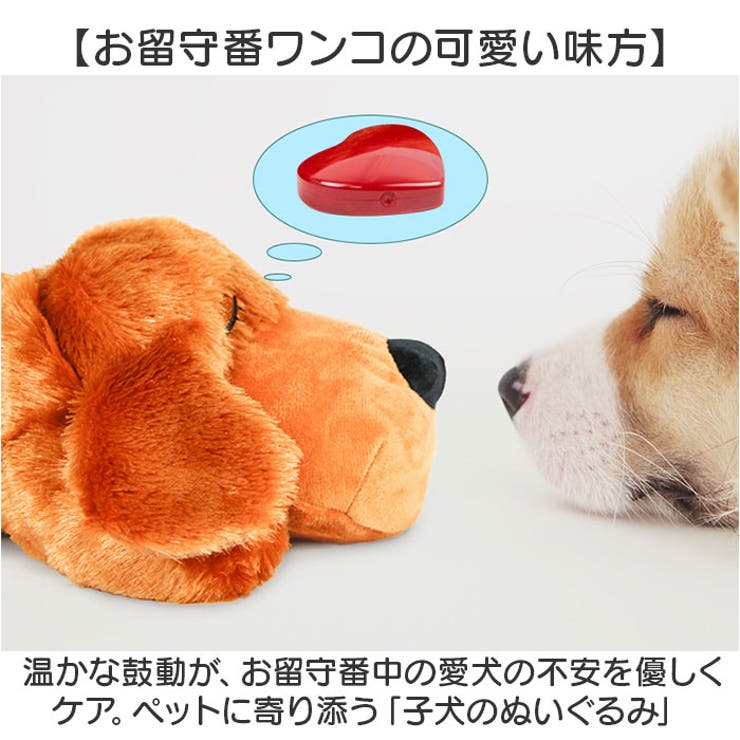 犬