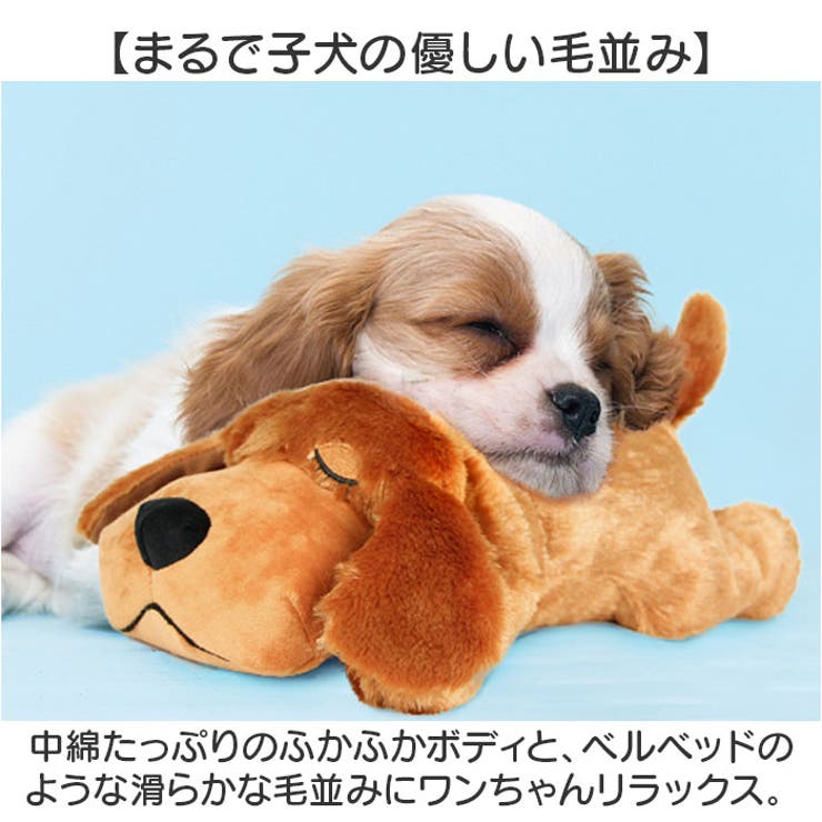 犬