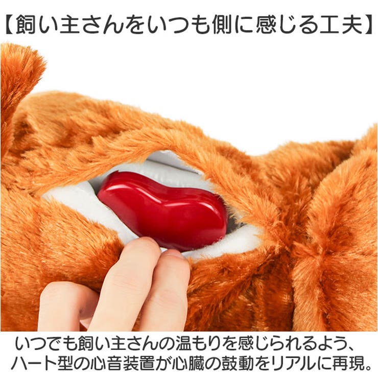 犬