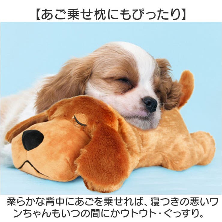 犬
