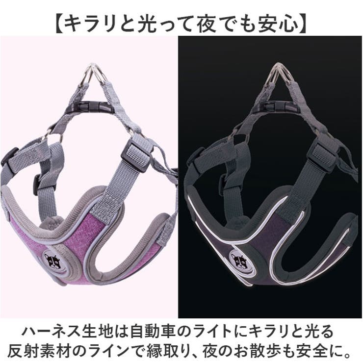 ハーネスリード