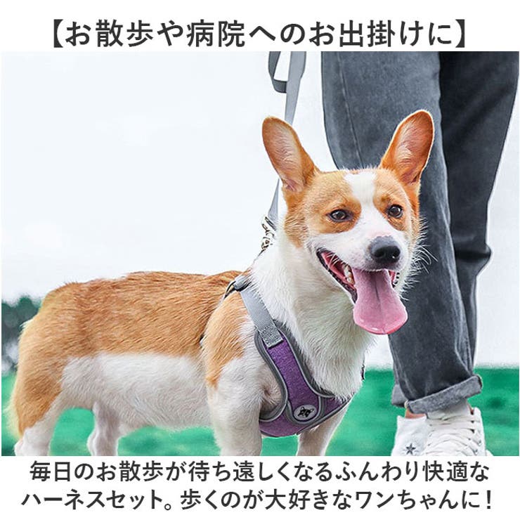 ハーネスリード