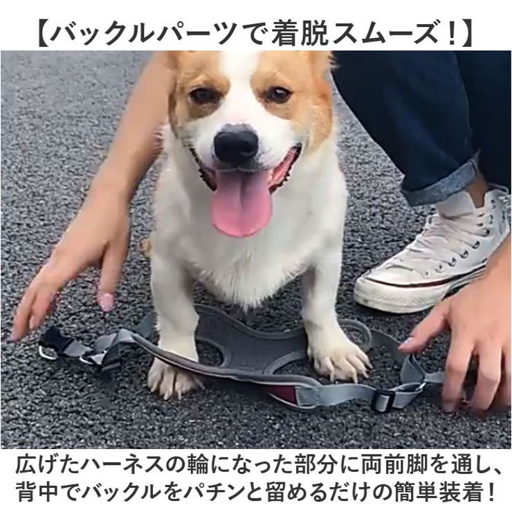 ハーネスリード