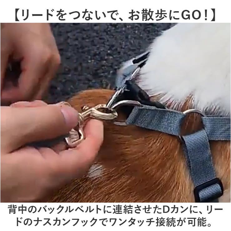 ハーネスリード