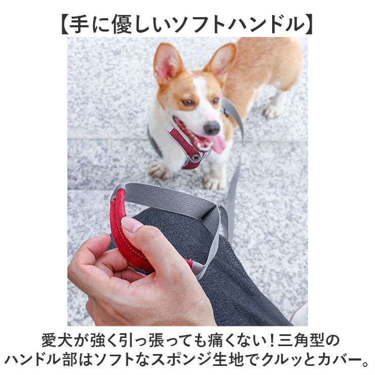 ハーネスリード