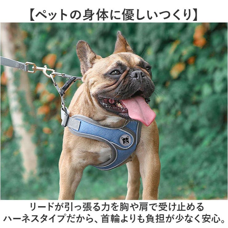 ハーネスリード