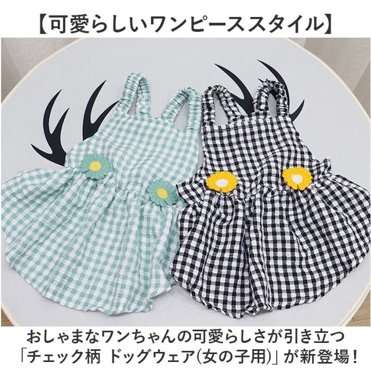 犬服 ペットウェア ワンピース | BACKYARD FAMILY | 詳細画像2 