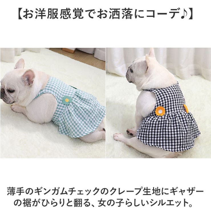 犬服 ペットウェア ワンピース[品番：BCYW0031813]｜BACKYARD