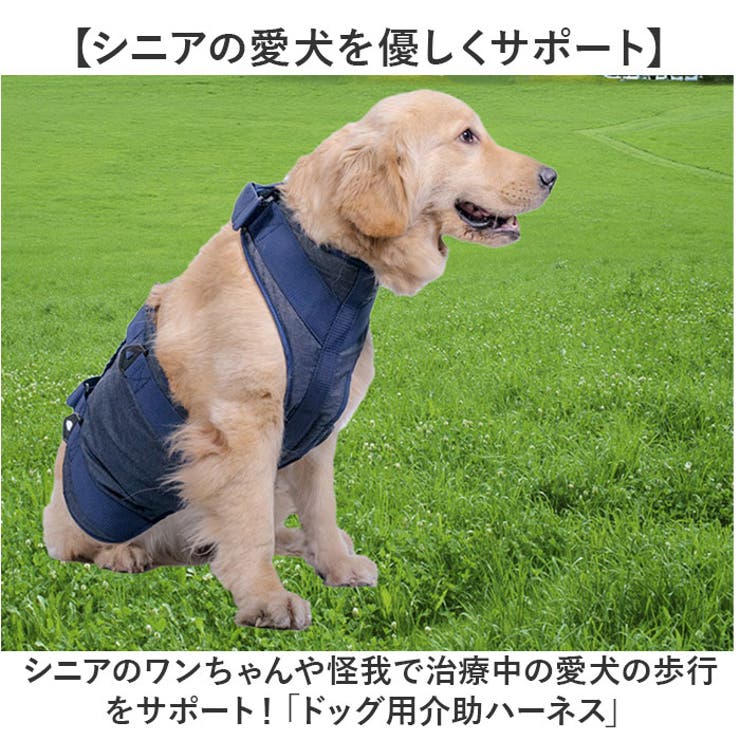 犬用 介助 ベルト 介助ハーネス L-XLサイズ[品番：BCYW0032036