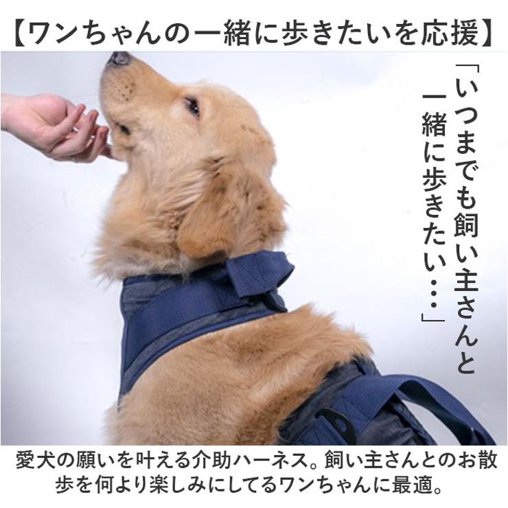 犬用 介助 ベルト 介助ハーネス L-XLサイズ[品番：BCYW0032036