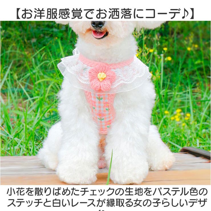 数量限定SALE 犬 ペット ハーネス かわいい[品番：BCYW0032142 リード付き 胴輪