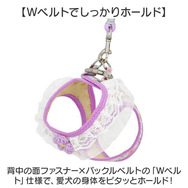 ペット 犬 ハーネス リード付き かわいい | BACKYARD FAMILY | 詳細画像5 