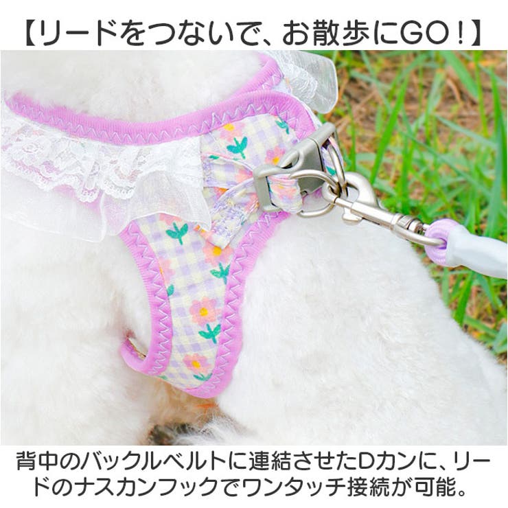 ペット 犬 ハーネス リード付き かわいい | BACKYARD FAMILY | 詳細画像7 