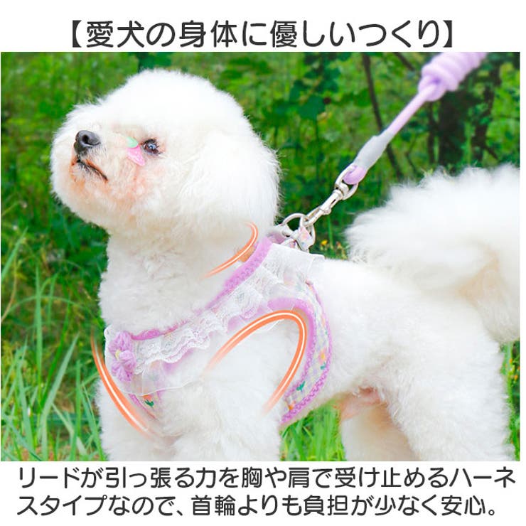 ペット 犬 ハーネス リード付き かわいい | BACKYARD FAMILY | 詳細画像9 