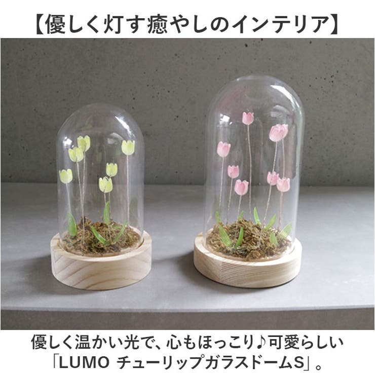 LUMO チューリップガラスドームS | BACKYARD FAMILY | 詳細画像2 