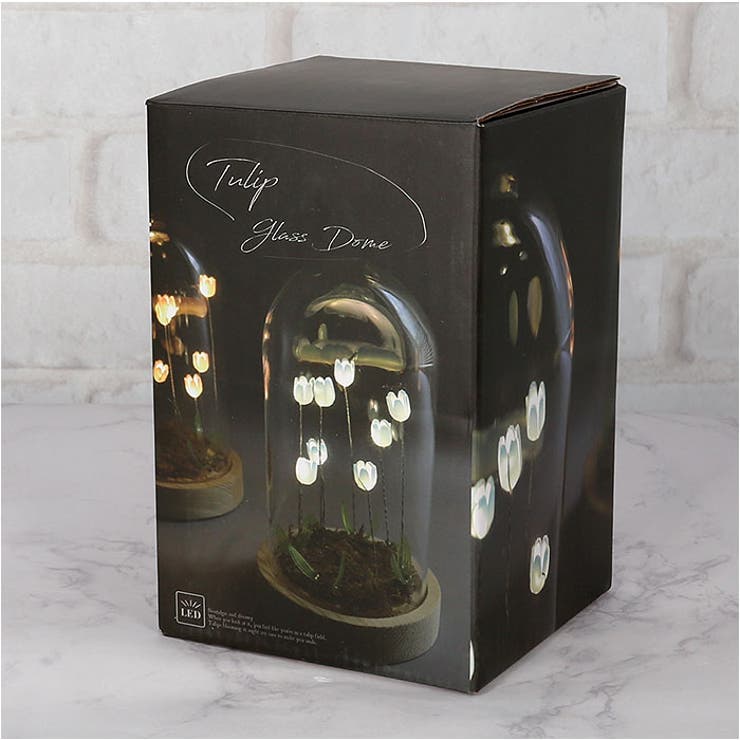 LUMO チューリップガラスドームS | BACKYARD FAMILY | 詳細画像11 