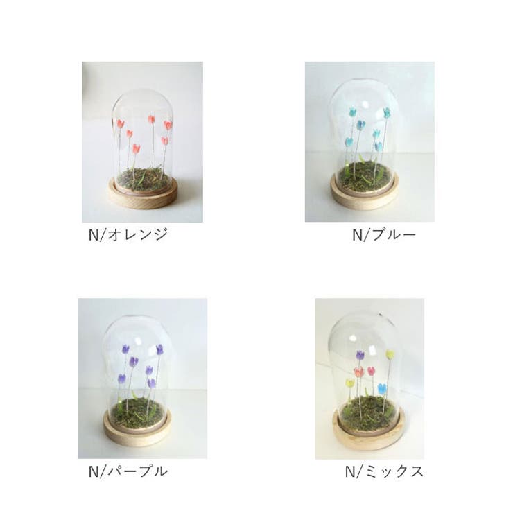 LUMO チューリップガラスドームS | BACKYARD FAMILY | 詳細画像13 