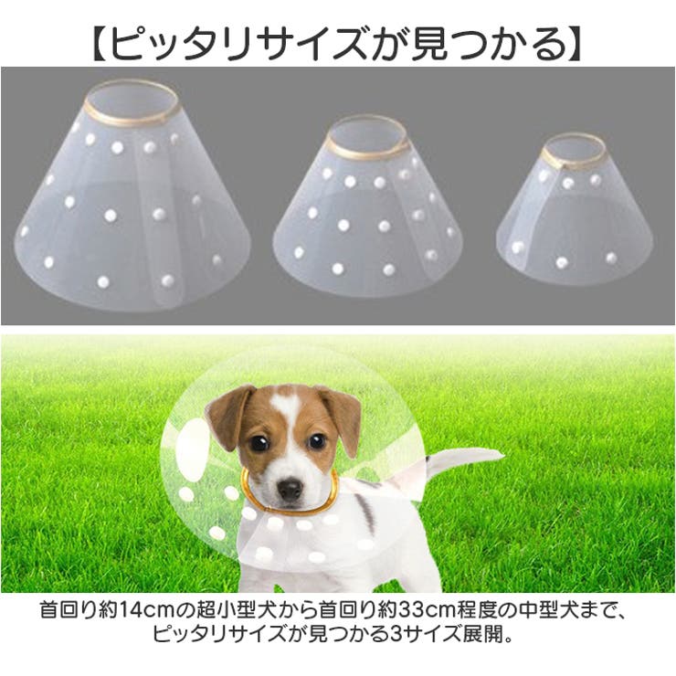 エリザベスカラー 犬 猫用 | BACKYARD FAMILY | 詳細画像10 