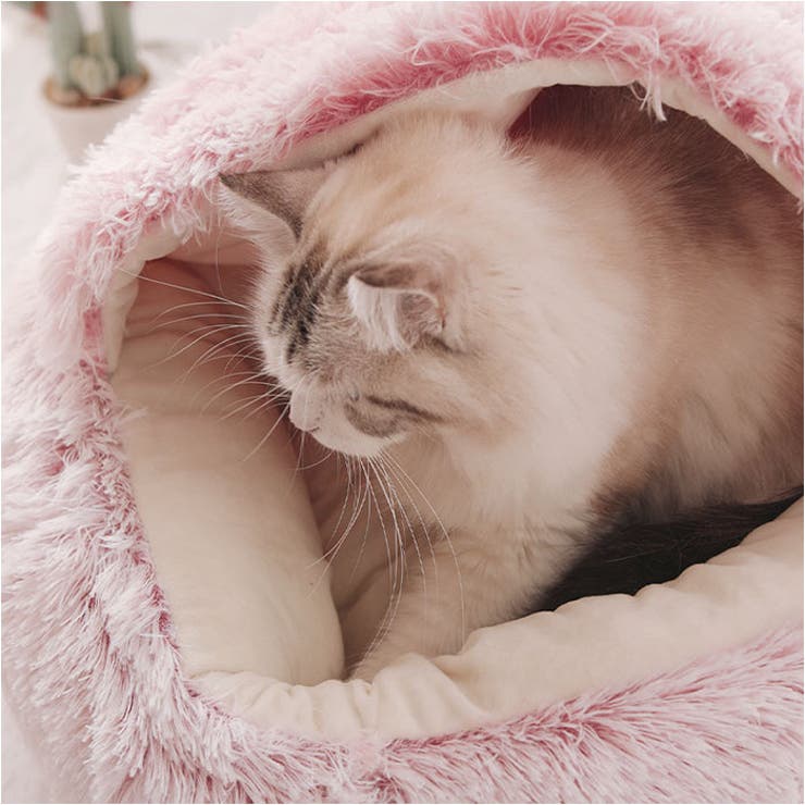 ペットハウス