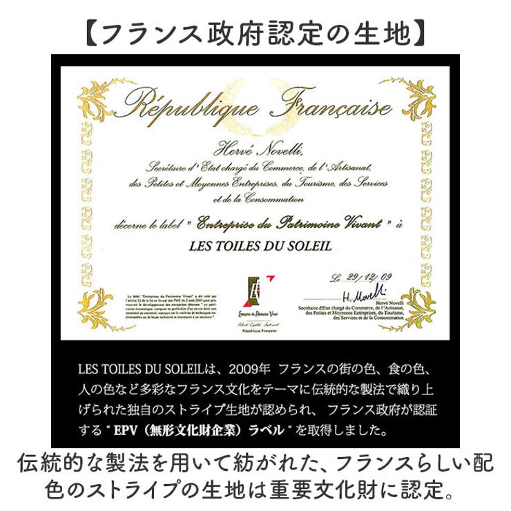 レトワール デュ ソレイユ A289 コインケース | BACKYARD FAMILY | 詳細画像5 