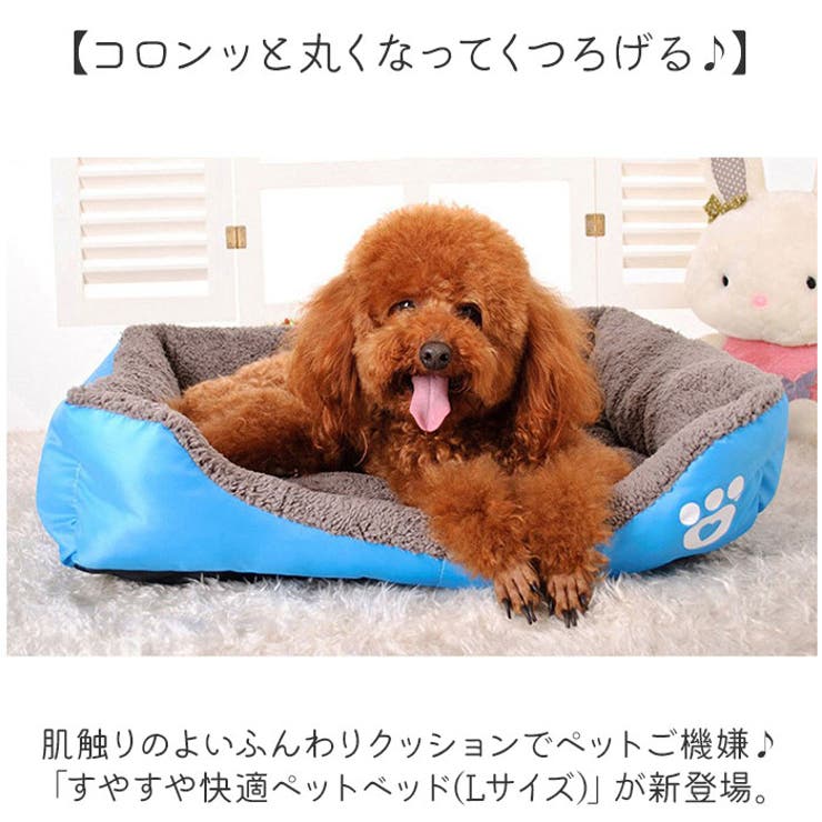 ペットベッド L[品番：BCYW0032446]｜BACKYARD FAMILY（バックヤード