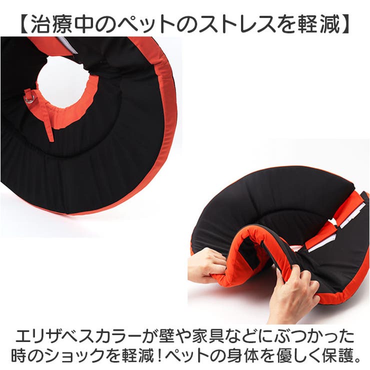 エリザベスカラー