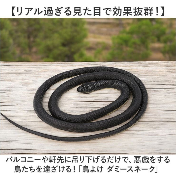 ヘビ