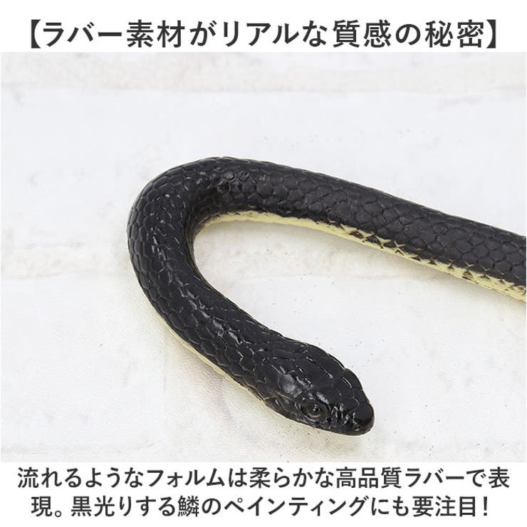 ヘビ