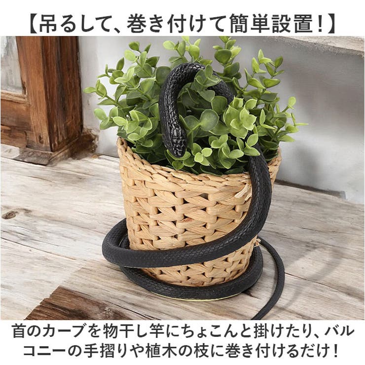 ヘビ