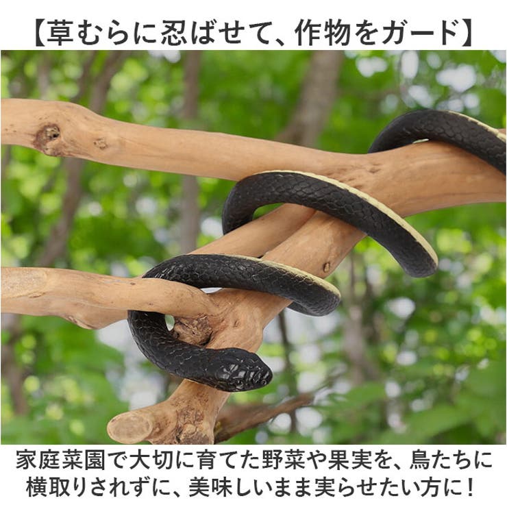 ヘビ