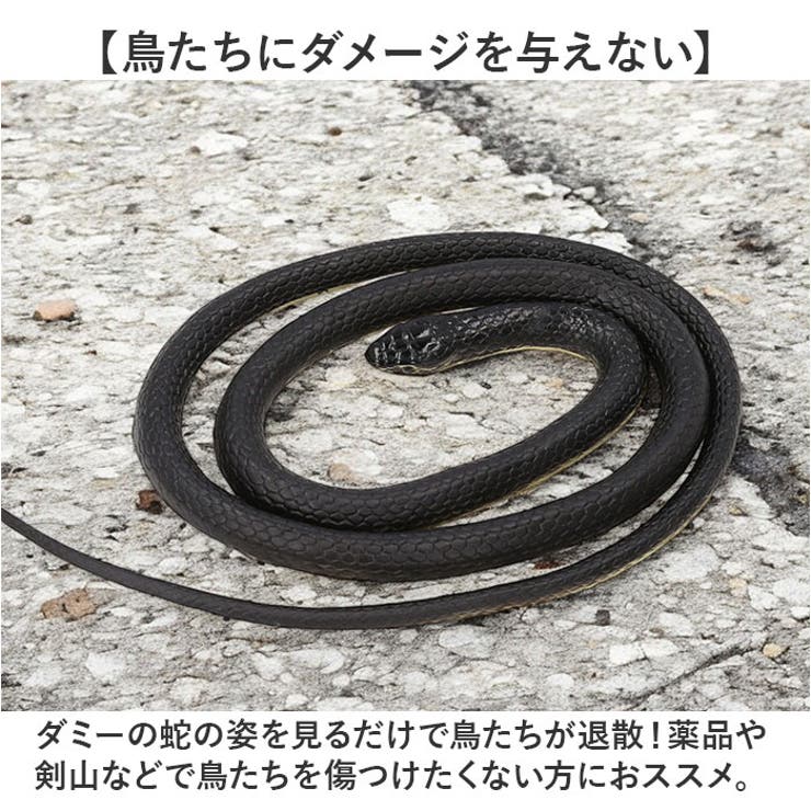 ヘビ