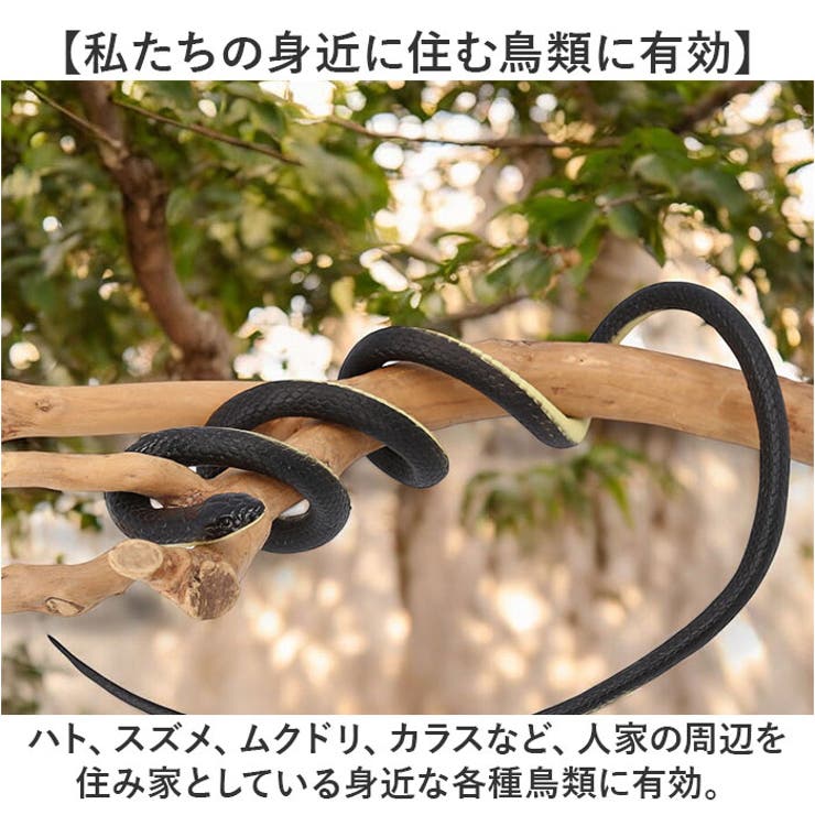 ヘビ