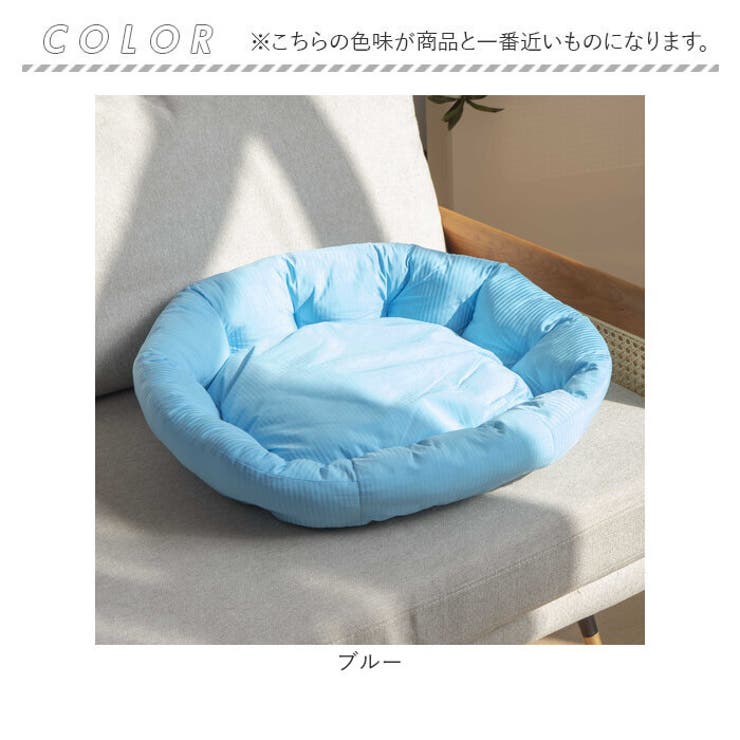 ペットベット